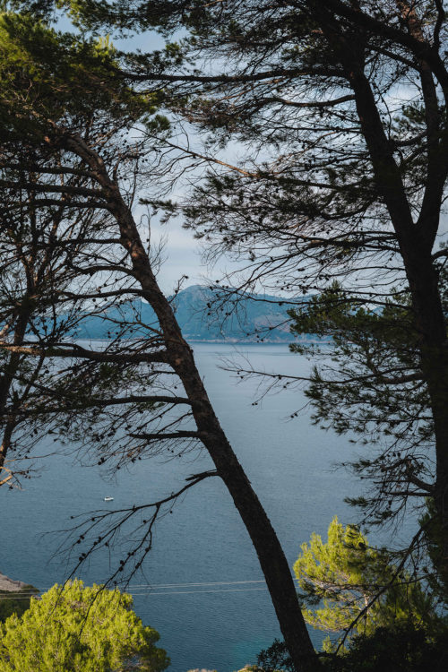 Mallorca in February