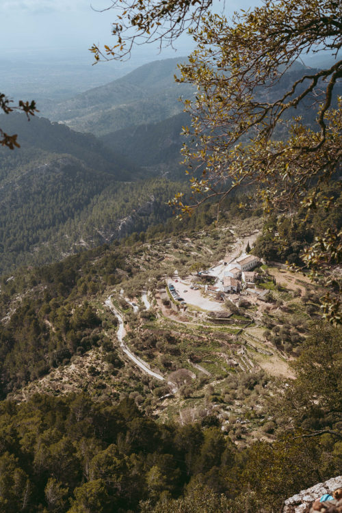 Mallorca in February