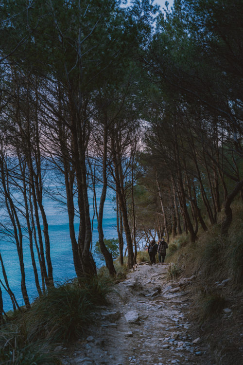 Coll Baix, Alcúdia