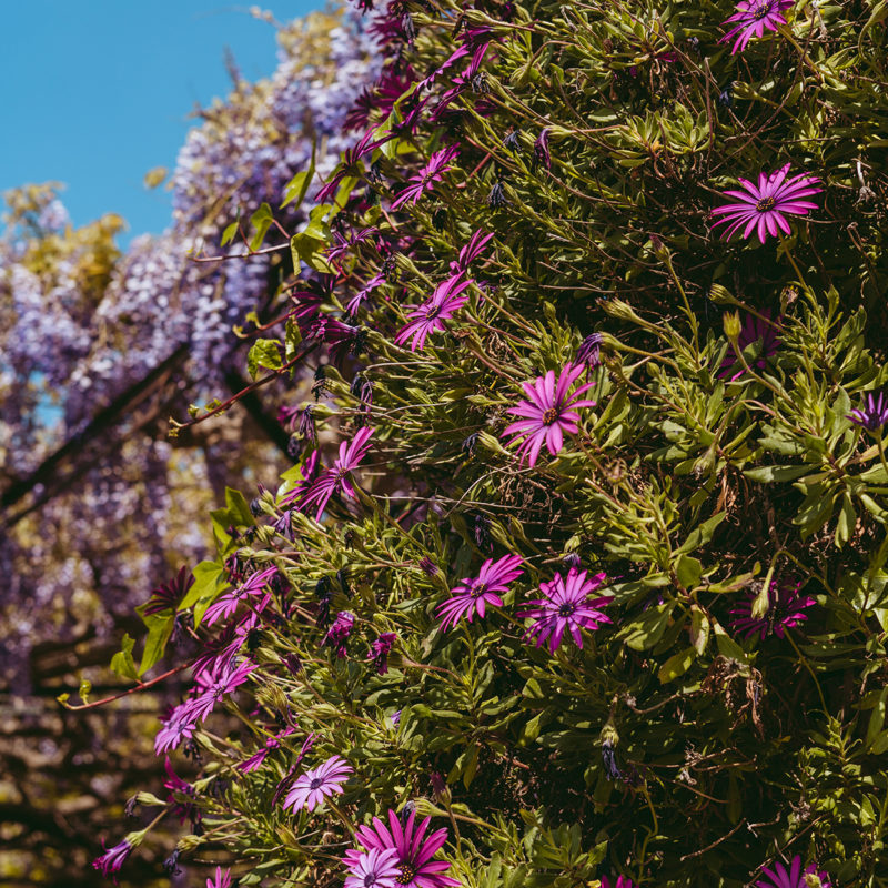 Mallorca in April