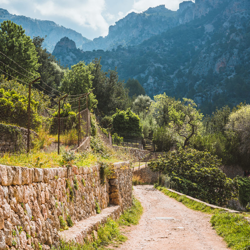 Mallorca in April