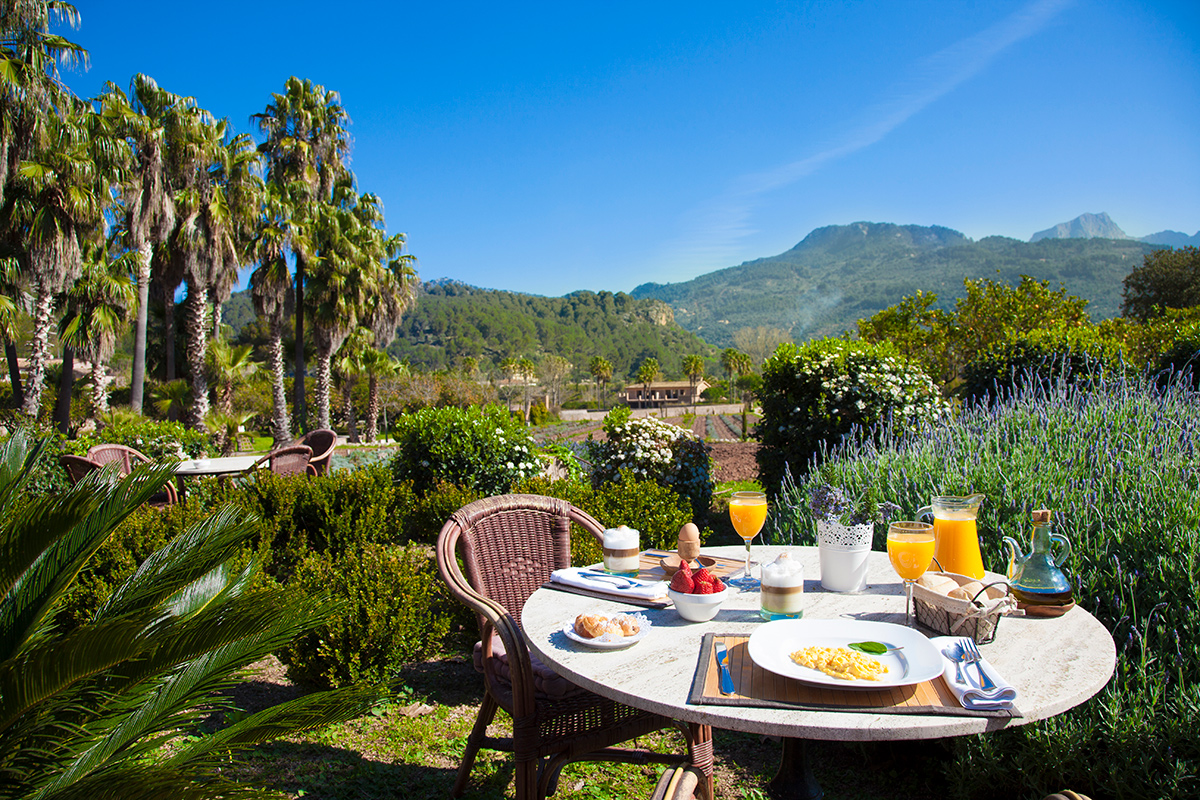 Los 9 hoteles más agradables en la famosa zona de naranjos de Sóller - La  vida en Mallorca