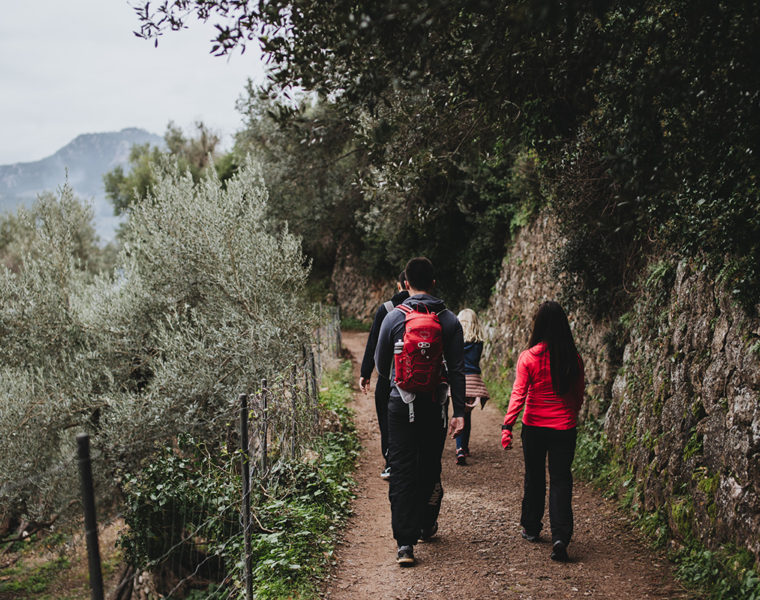 Sóller Mallorca