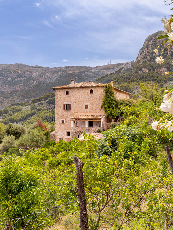 Living Blue property Mallorca