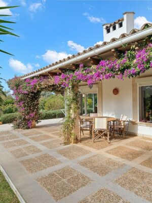 Villa for sale in Costa de los Pinos