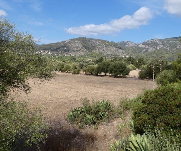 Private 58,000 m2 rural estate for sale in alaró