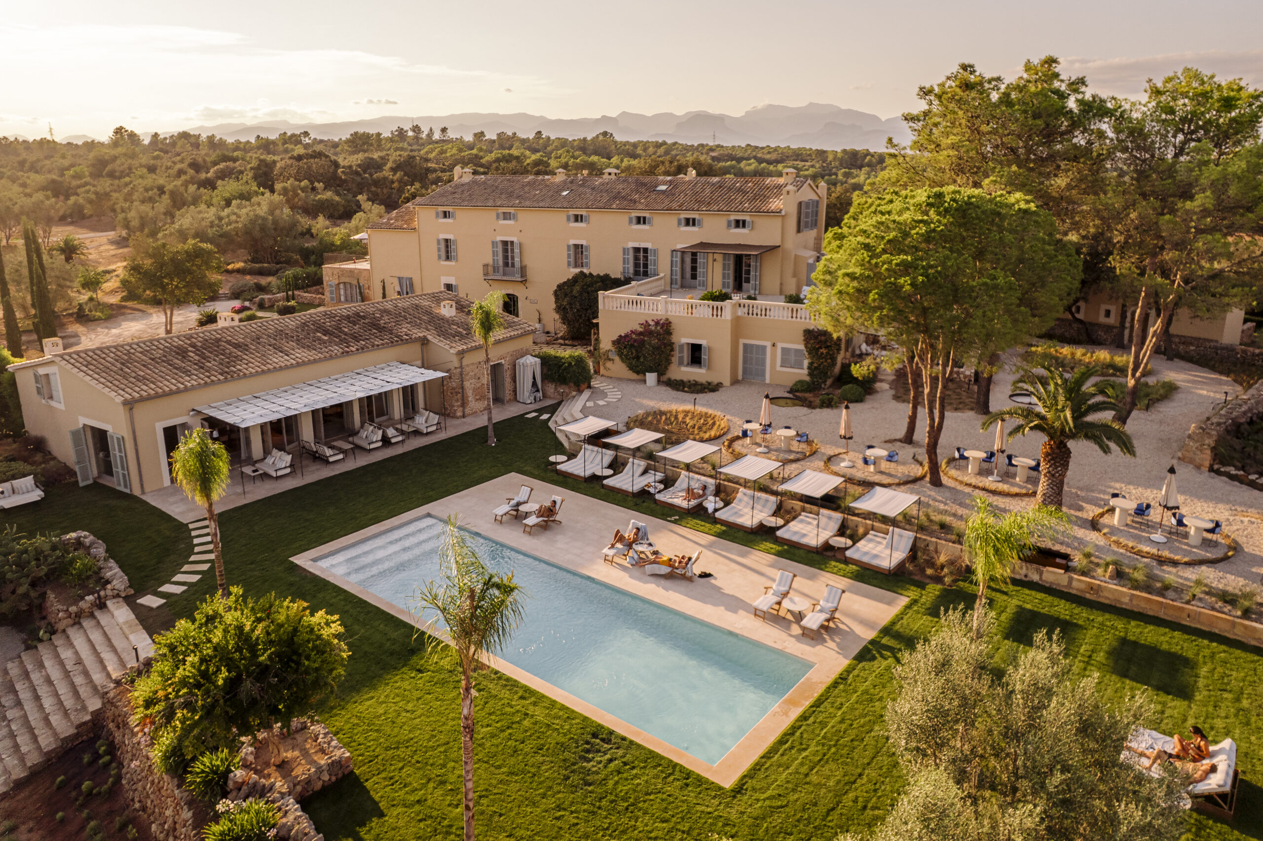 Design led new openings